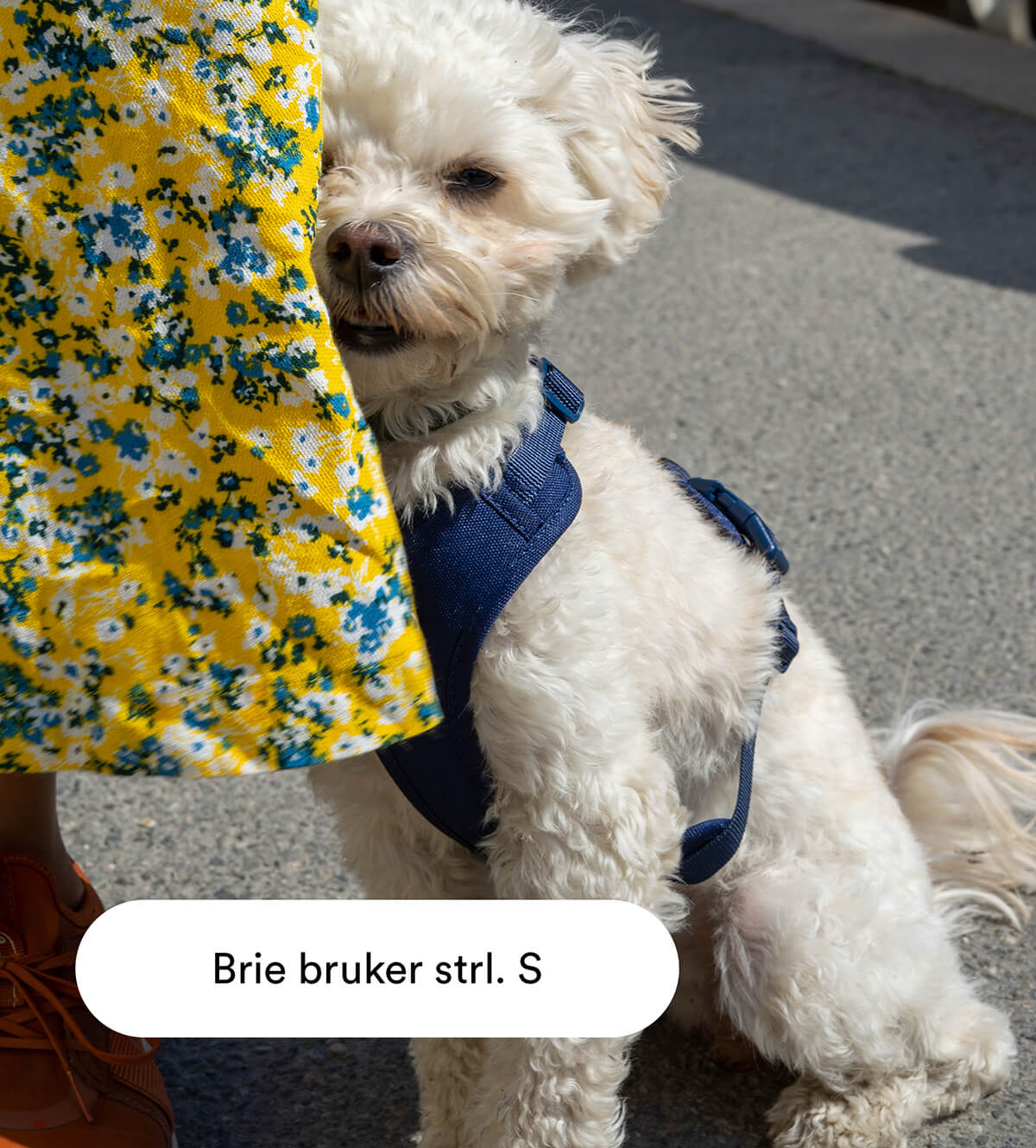 Mørkeblå Mega Bundle