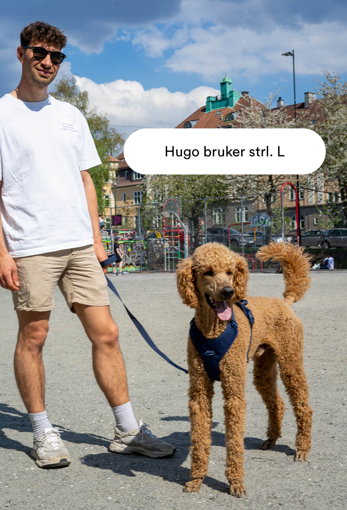 Mørkeblå Mega Bundle