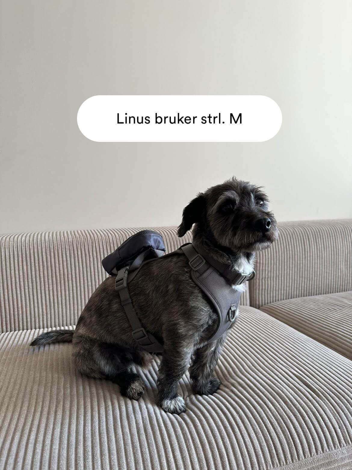 Grå Mini Bundle