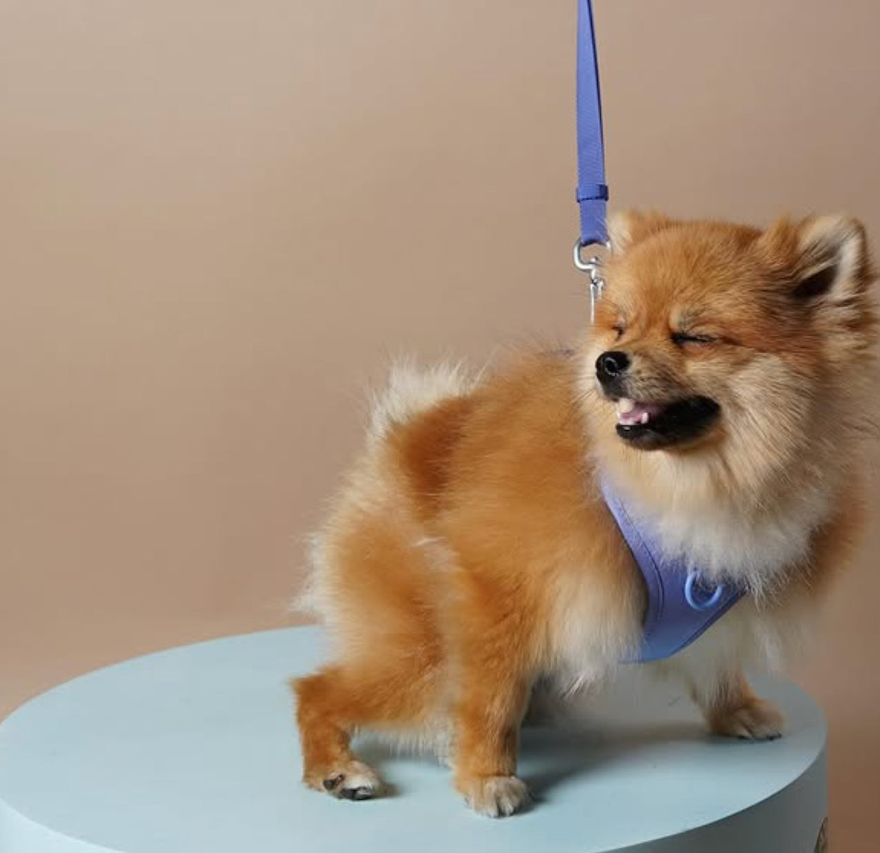 Lyseblå Mini Bundle