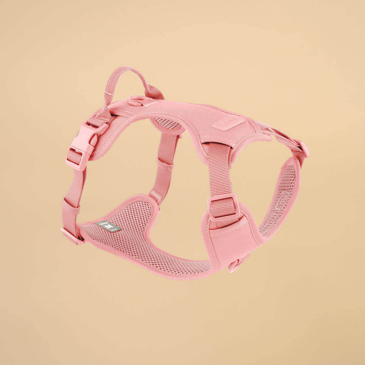 Rosa Mega Bundle
