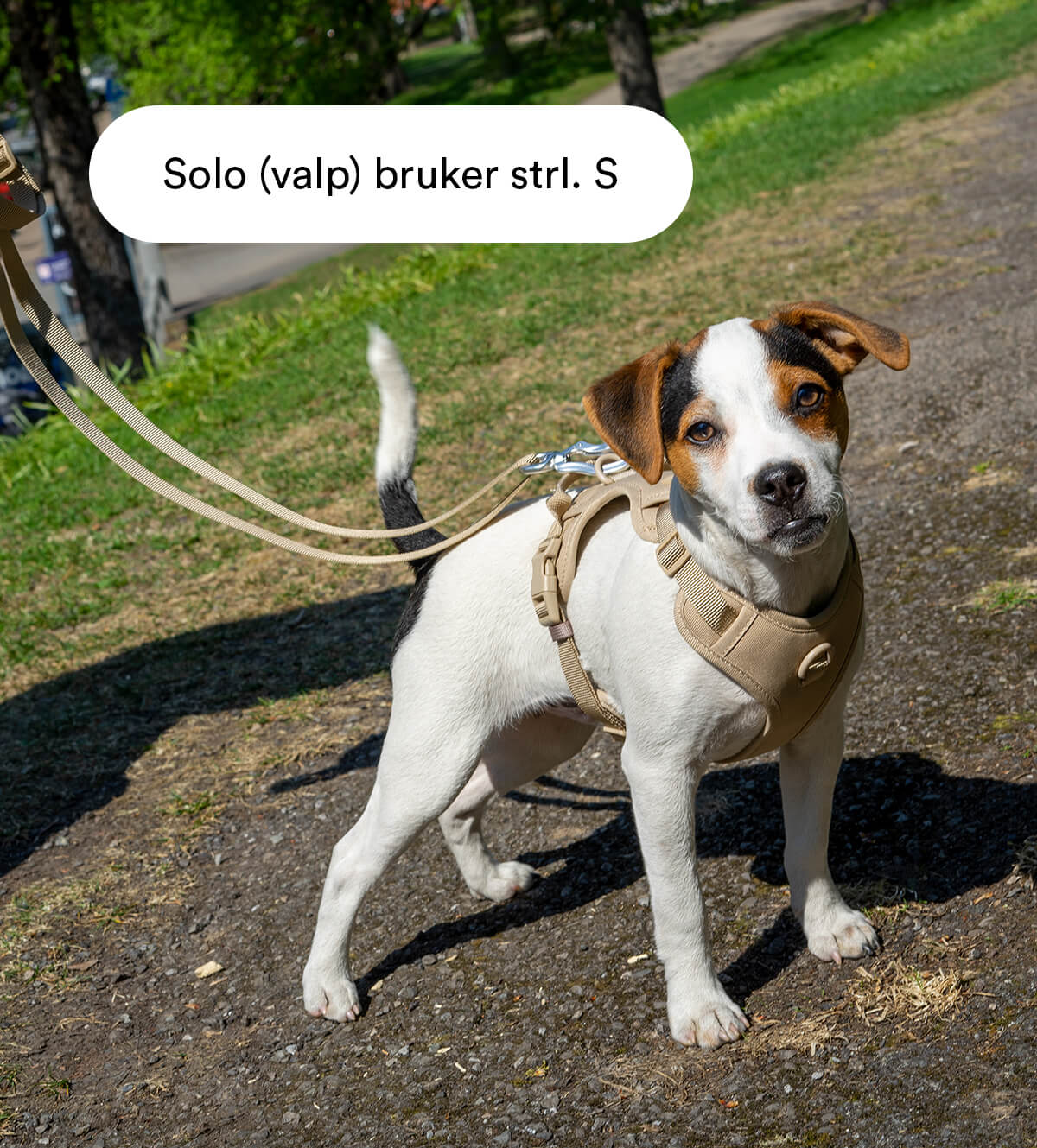 Beige bånd
