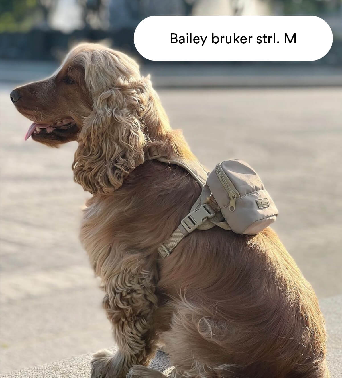 Beige Hundesele