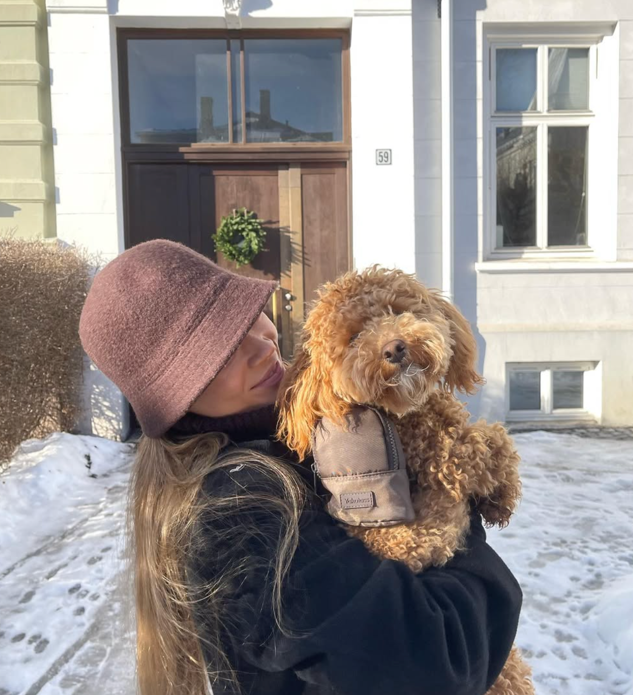 valp, stor hund, liten hund, brun hundesele