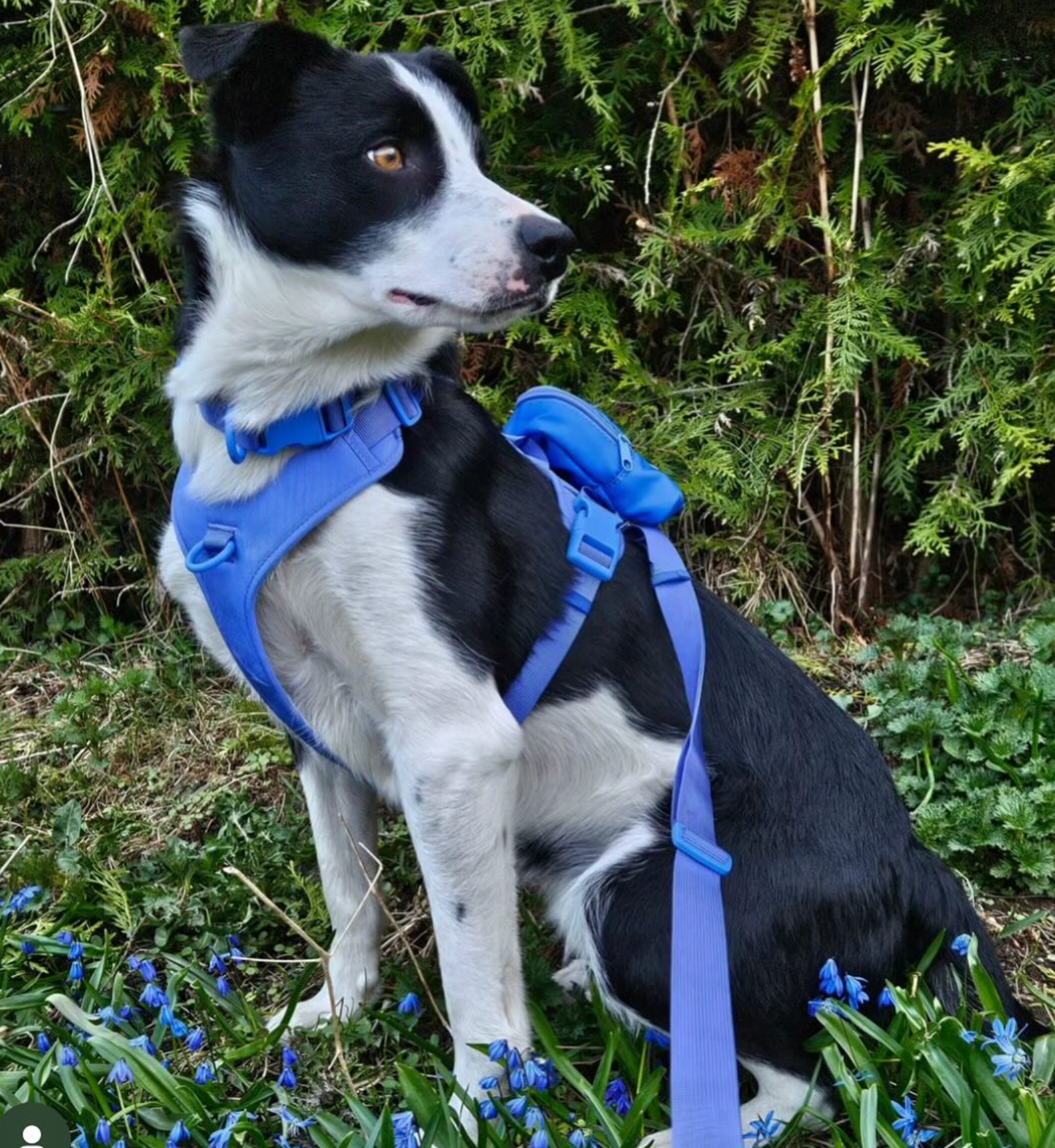 Lyseblå Mega Bundle