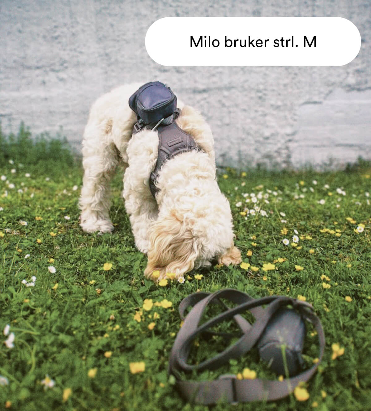 Grå Mega Bundle